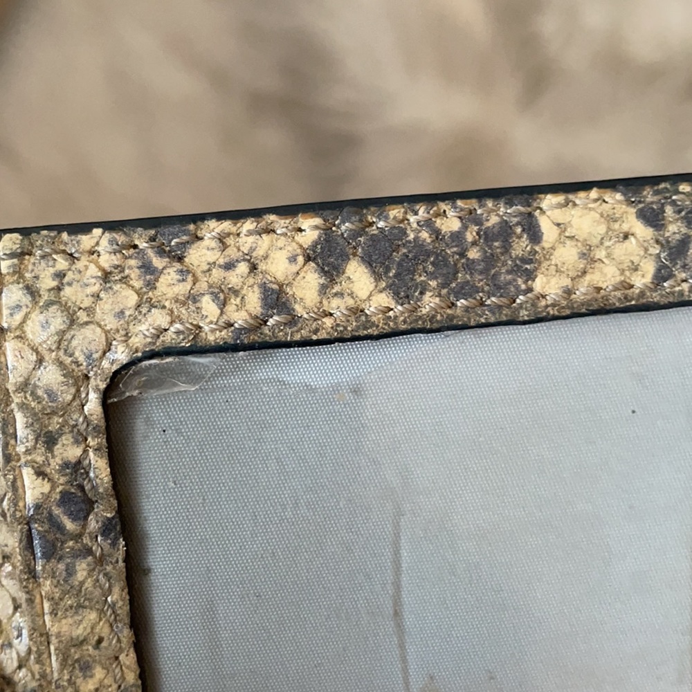 Coach reptile look ID wallet/coin - Picture 4 of 4